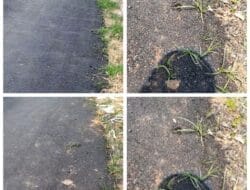 GridArt_20241007_125314120_copy_1024x1024