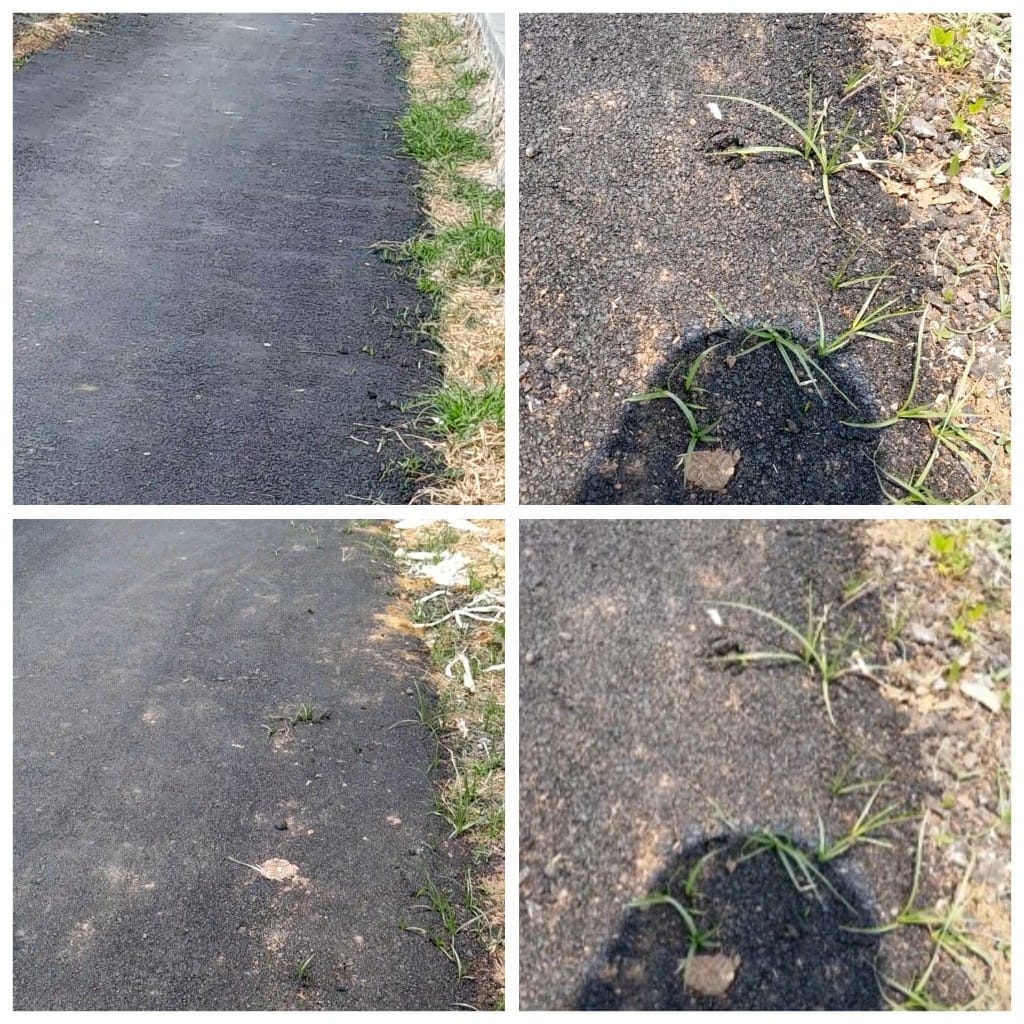 GridArt_20241007_125314120_copy_1024x1024