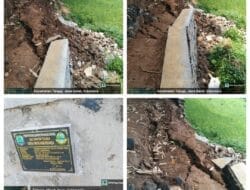 Screenshot_20250201_234651_Gallery