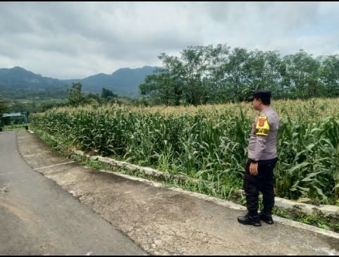 Screenshot_2025_0205_124053